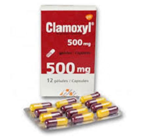 clamoxyl 500